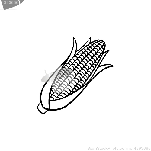 Image of Corn cob hand drawn sketch icon.