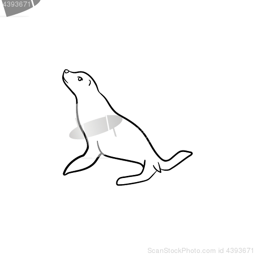 Image of Fur seal hand drawn sketch icon.