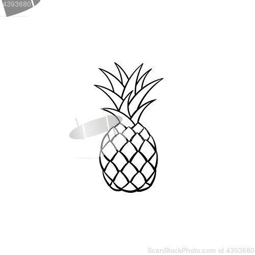 Image of Pineapple hand drawn sketch icon.