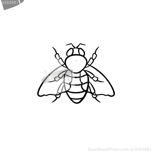 Image of Fly hand drawn sketch icon.