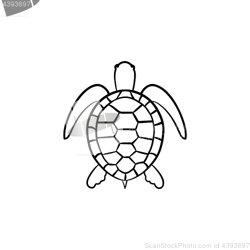Image of Turtle hand drawn sketch icon.