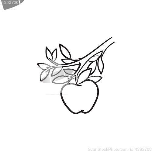 Image of Apple harvest hand drawn sketch icon.