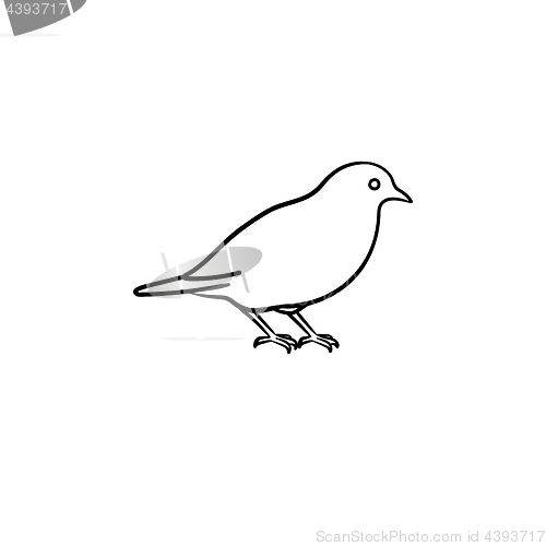 Image of Bird hand drawn sketch icon.