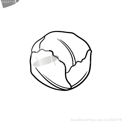 Image of White cabbage hand drawn sketch icon.