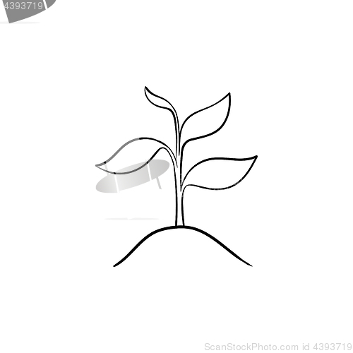 Image of Sprout of plant hand drawn sketch icon.