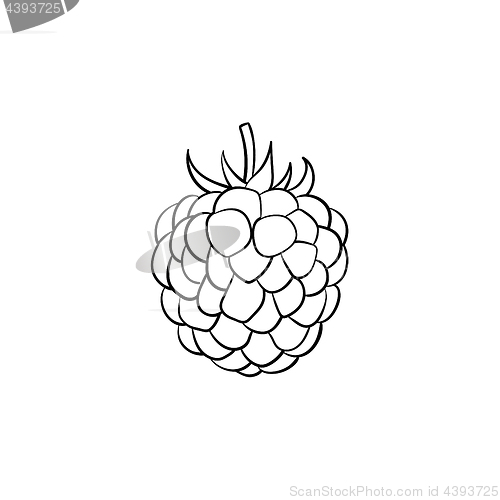 Image of Blackberry hand drawn sketch icon.