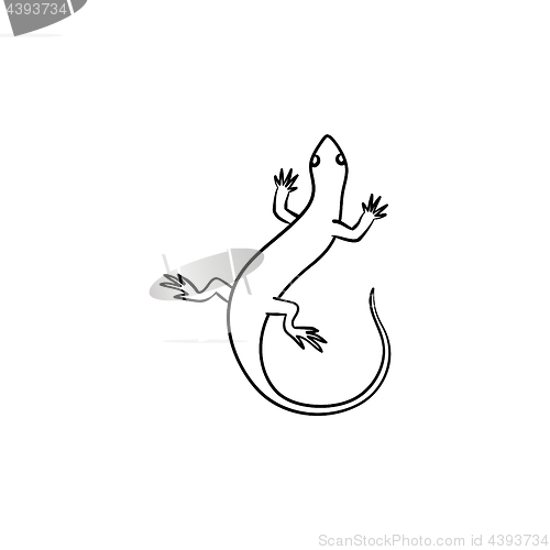 Image of Salamander hand drawn sketch icon.