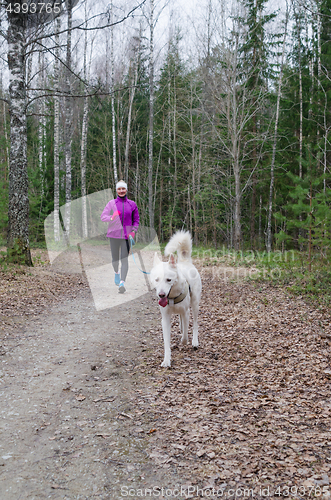 Image of Woman with a dog on a run in the park