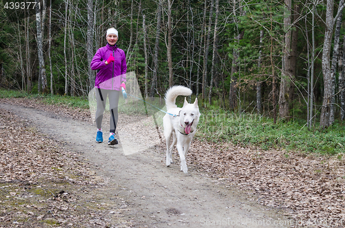 Image of Woman with a dog on a run in the park