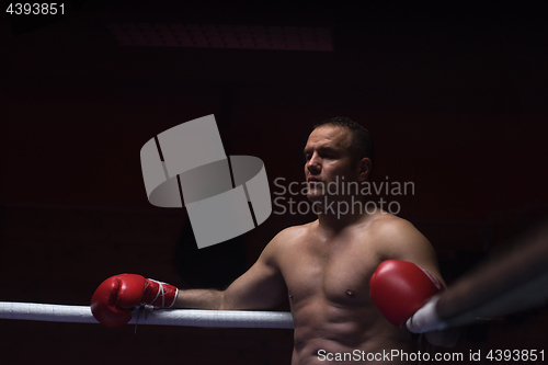 Image of kick boxer resting on the ropes in the corner