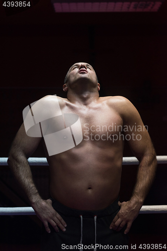 Image of portrait of muscular professional kickboxer