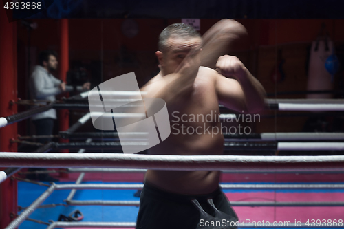 Image of professional kickboxer in the training ring