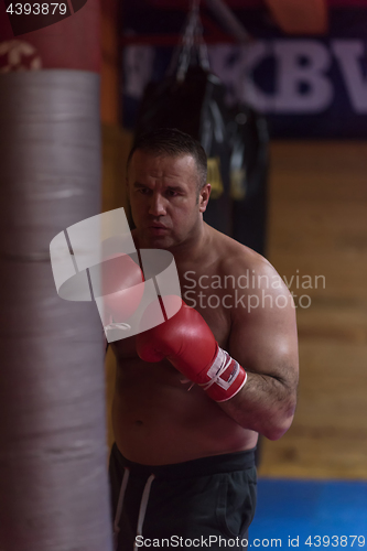 Image of kick boxer training on a punching bag