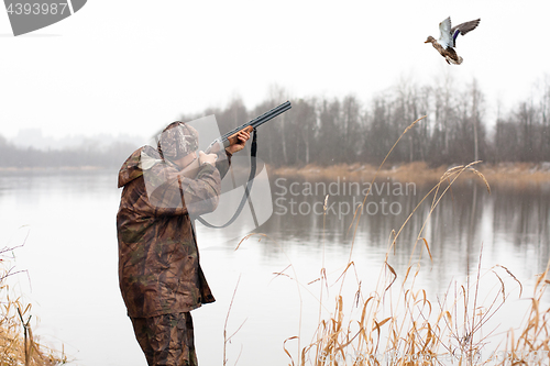 Image of hunter shooting to the flying duck