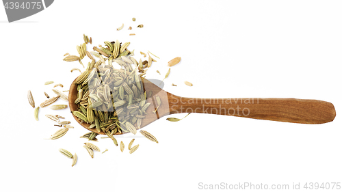 Image of Fennel in Wooden Spoon