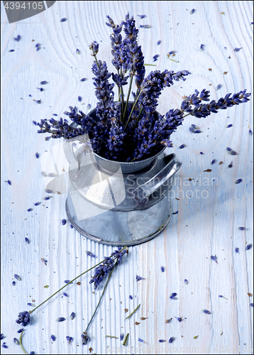 Image of Bunch of Lavender Flowers