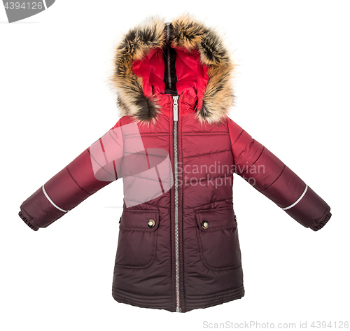 Image of Women winter jacket