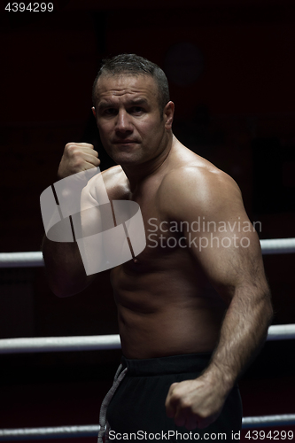 Image of professional kickboxer in the training ring