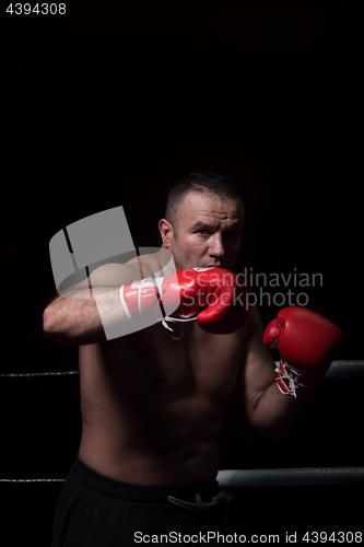 Image of professional kickboxer in the training ring