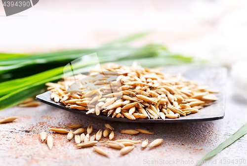 Image of raw oat