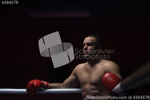 Image of kick boxer resting on the ropes in the corner