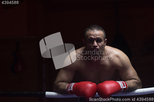 Image of portrait of muscular professional kickboxer