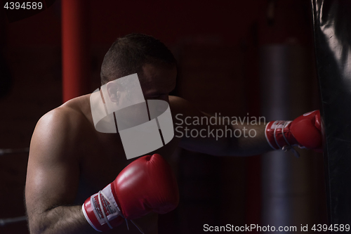 Image of kick boxer training on a punching bag