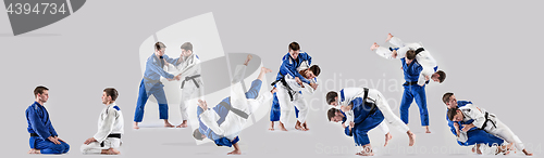 Image of The two judokas fighters fighting men