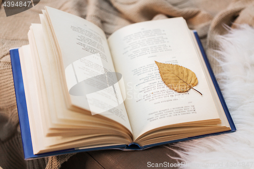 Image of book with autumn leaf on blanket at home