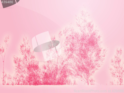 Image of Birch trees illustration