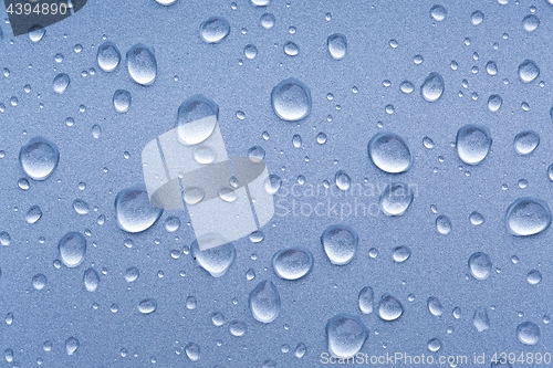 Image of Shiny Water Droplets