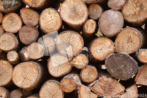 Image of Log wood pile