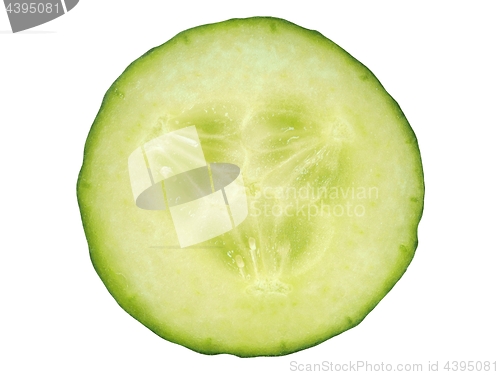 Image of Cucumber slice on white