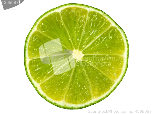 Image of Lime slice