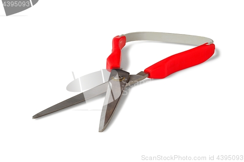 Image of Scissors On White