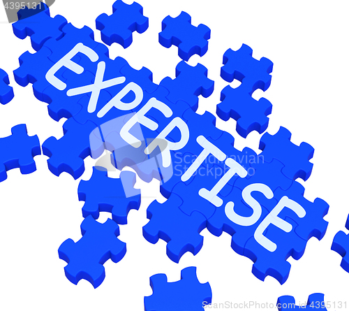 Image of Expertise Puzzle Showing Excellent Skills 