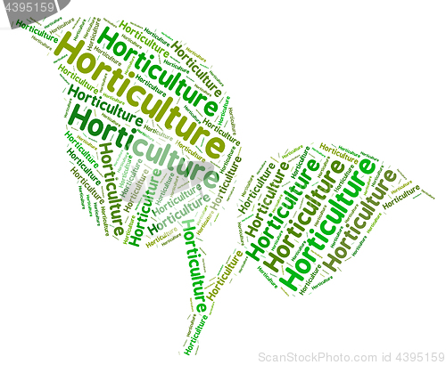 Image of Horticulture Word Represents Flower Garden And Agricultural