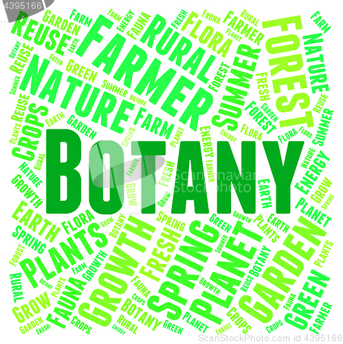 Image of Botany Word Indicates Plant Life And Botanist