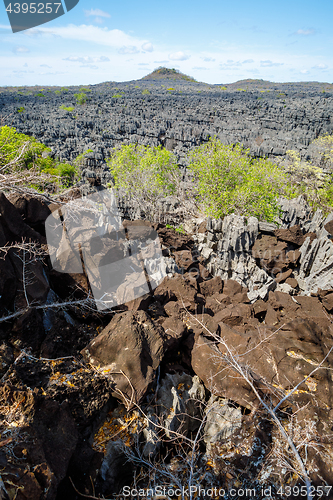 Image of Tsingy rock formations in Ankarana, Madagascar