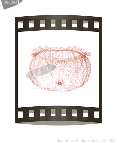 Image of Bag on a white background. 3D illustration. The film strip.