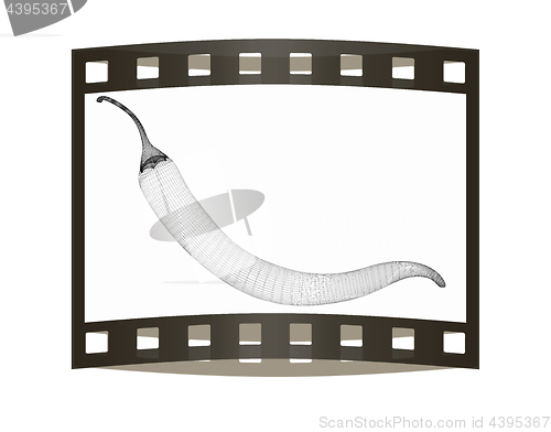 Image of chili pepper. 3d illustration. The film strip.