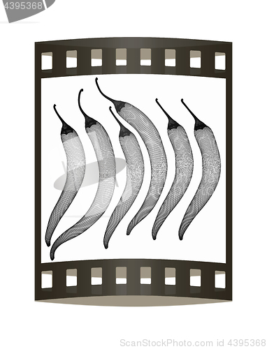 Image of chili pepper. 3d illustration. The film strip.
