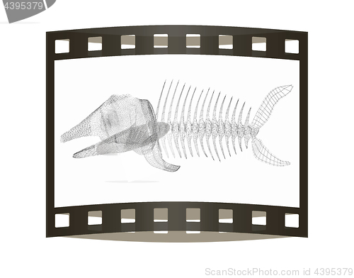 Image of Fish bone icon. 3d illustration. The film strip.