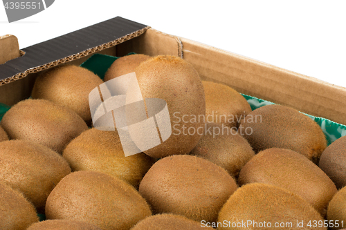 Image of Green and yellow kiwi