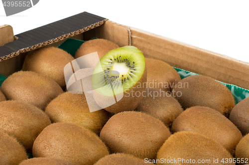 Image of Green and yellow kiwi