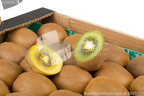 Image of Green and yellow kiwi