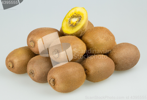 Image of Yellow kiwi