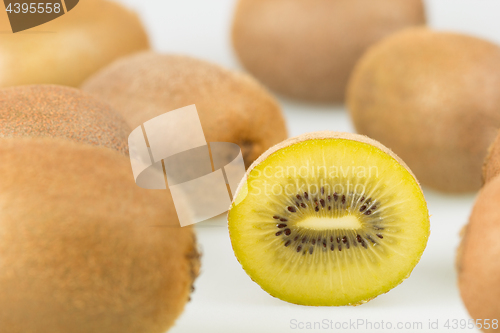 Image of Yellow kiwi