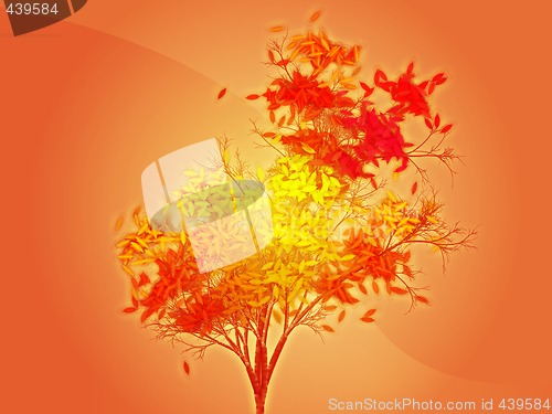 Image of Autumn leafy tree