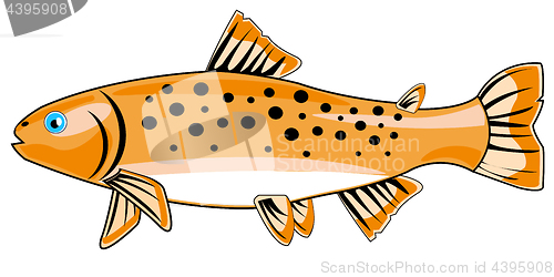 Image of River fish trout